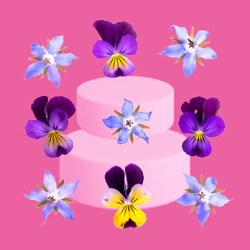 Edible Flowers for Cakes – Victoria Yum