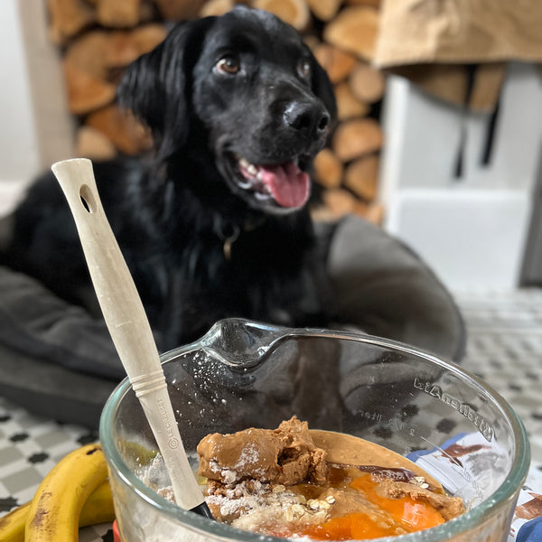 New! Puppy Cookies